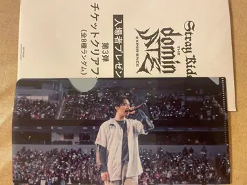 Stray Kids 스키즈 영화 입장객 특전 클리어 파일 리노