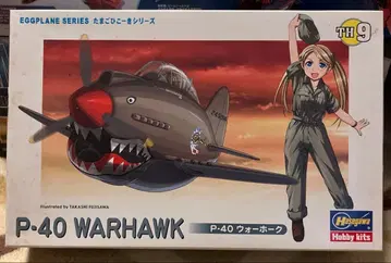 하세가와 타마고 히코키 P-40 워호크