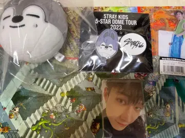 Straykids 방찬 굿즈
