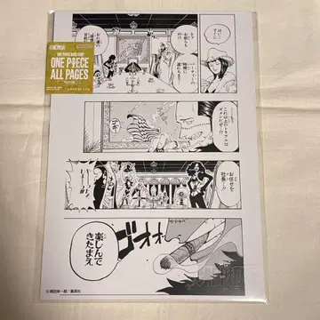 ONE PIECE 올 페이지 알라바스타 크로커다일 로빈