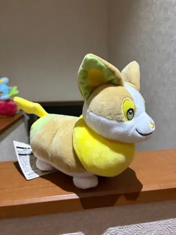 원파치 봉제 인형 포켓몬 센터