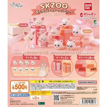 SKZOO 푹신푹신 벌스데이 클리어링 FoxI.Ny 3개 세트
