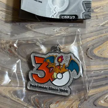 미사용 새상품 포켓몬 30주년 메탈 참 마스코트 리자몽