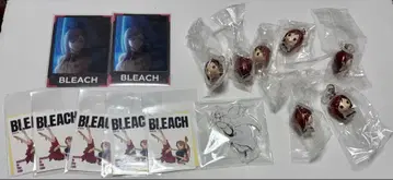 BLEACH 이노우에 오리히메 아크릴 스탠드 104 stands 메지루시