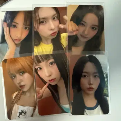 엔믹스 쇼케이스 포카