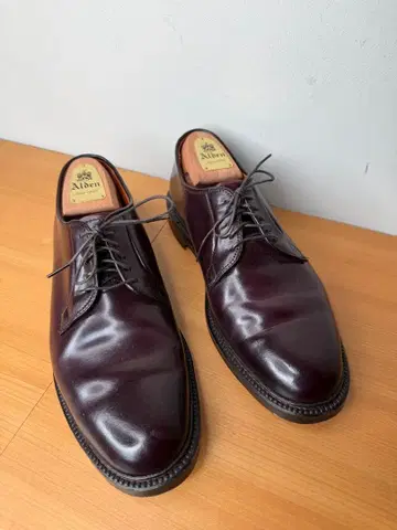 Alden 플레인토 버건디 990 9D