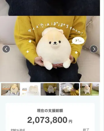 포포치 레어 크라우드 펀딩 봉제 인형 포메라니안 크펀