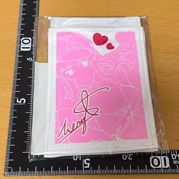 셰릴 노움 패스 케이스 마크로스 F