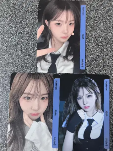 QR 기사용 triples 하연 aa363-aa365 HaYeon