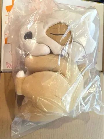 잘자 카라카라 포켓몬 슬립 Pokemon Sleep 봉제 인형