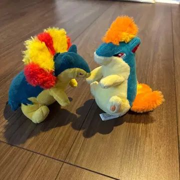 포켓몬 봉제 인형 히노아라시 마그마라시 세트