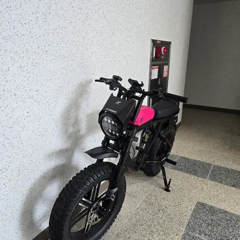 엑스라이더 X-RIDER 전기자전거 X200 Max SL 48V 500W