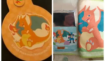 포코아 포켓몬 리자몽 극락탕 머플러 타월