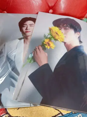 채종협 클리어 파일 2장 세트