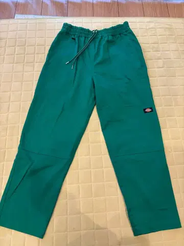 Dickies 이지 팬츠 그린