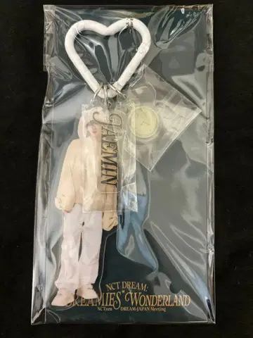 NCT DREAM 드림 팬미팅 아크릴 키링 아크키 제민