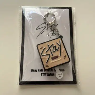 Stray Kids 스키즈 승민 보이스 키링