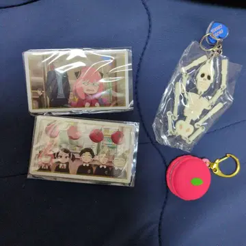 USJ 스파이 패밀리 콜렉터블 키체인 해골 마카롱