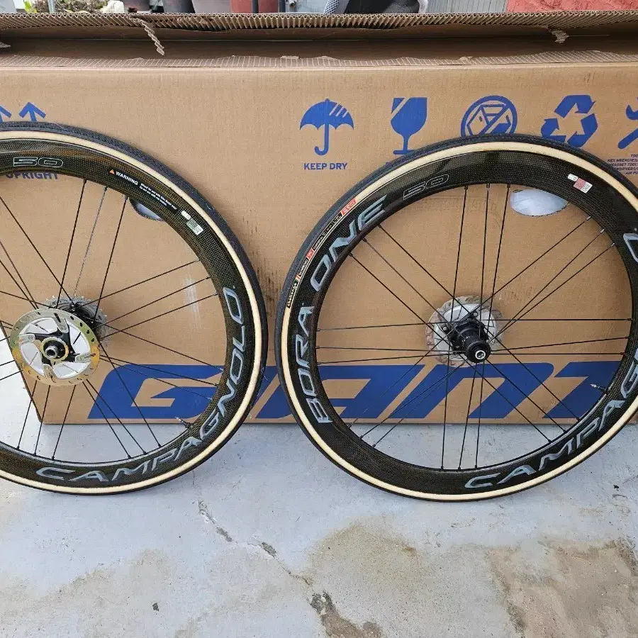 Campagnolo Shamal Track Black Wheelset | Bunjang Global