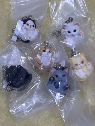 가챠 만마루쨩 고양이 키링 6개 세트