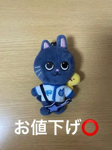 RIIZE 원빈 토냥도크