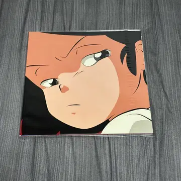 Adoy - Catnip LP | 브랜드 중고거래 플랫폼, 번개장터