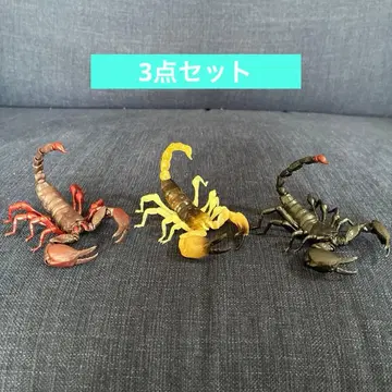 생물대도감 전갈 전갈 3세트