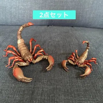 생물대도감 전갈 전갈 2세트