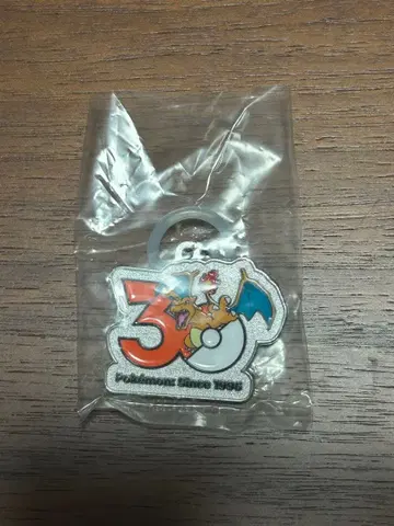 포켓몬 30주년 메탈 참 마스코트 리자몽