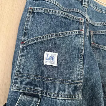 Lee 페인터 팬츠