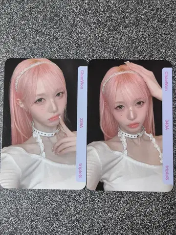QR 기사용 triples ChaeWon BB339 BB340 채원