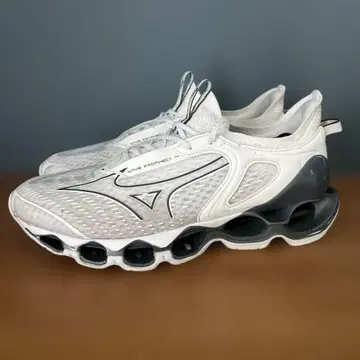 MIZUNO WAVE PROPHECY 14 스니커즈