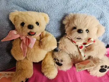 테디베어 강아지 곰 일본 국내 작가
