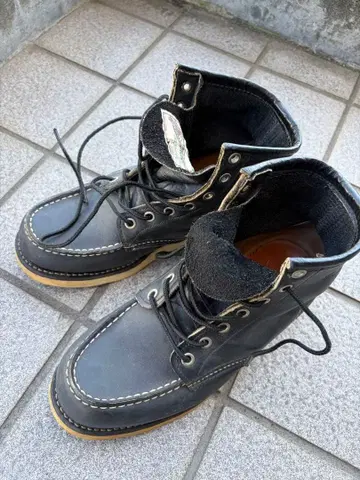 RED WING 아이리쉬 세터 구견 택 홍콩 반환 기념 모델