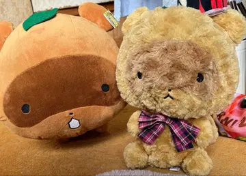 강아지 솜뭉치 봉제 인형 2세트