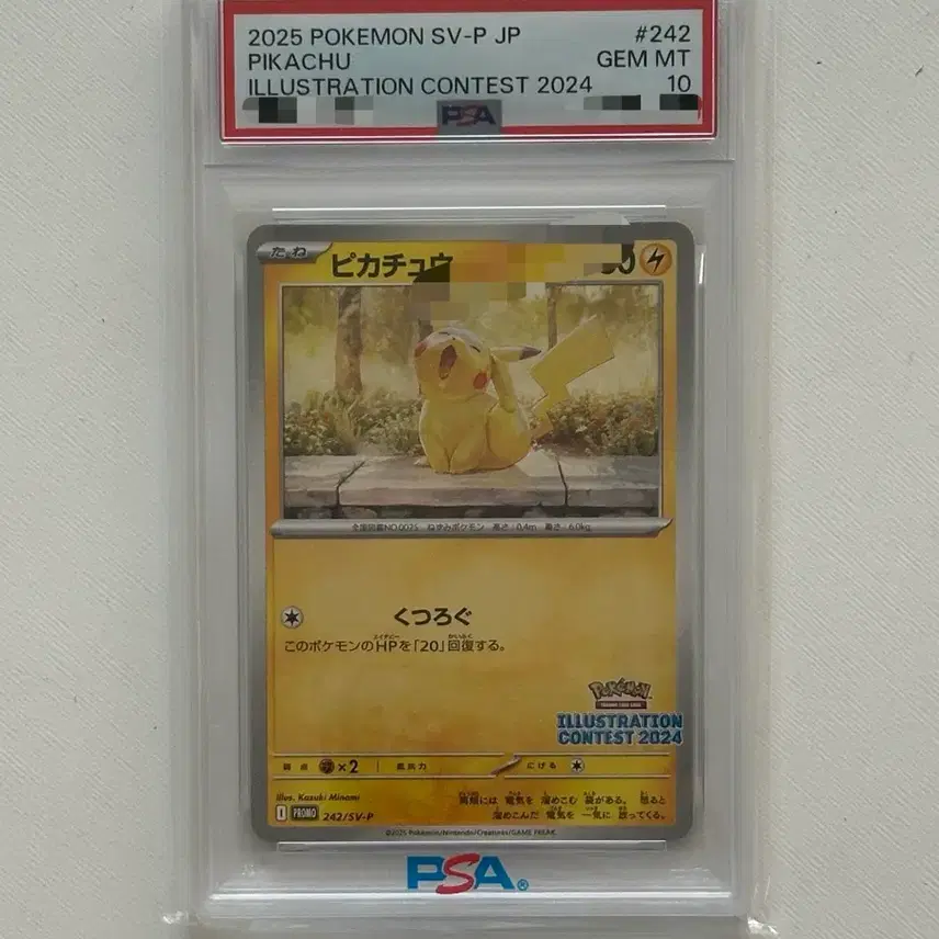 포켓몬 하품 피카츄 일러스트 콘테스트 2024 PSA 10