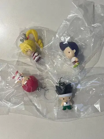 HUNTER x HUNTER GI편 메지루시 액세서리 히소카 4종 세트