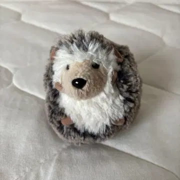 DOUGLAS 가시 봉제 인형