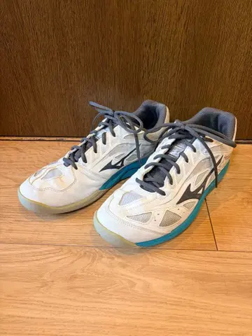 MIZUNO 테니스화 BREAK SHOT 3 카펫용 27.5cm