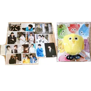 Kis-My-Ft2 키스마이 타마모리 유타 타망고 봉제 인형 사진 카드