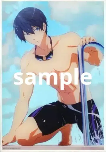 Free!TM 아크릴 아트 플레이트 아크릴 플레이트 나나세 하루카 하루카