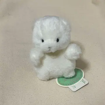 죽순 봉제 인형 조이풀 메이트 시로쿠마
