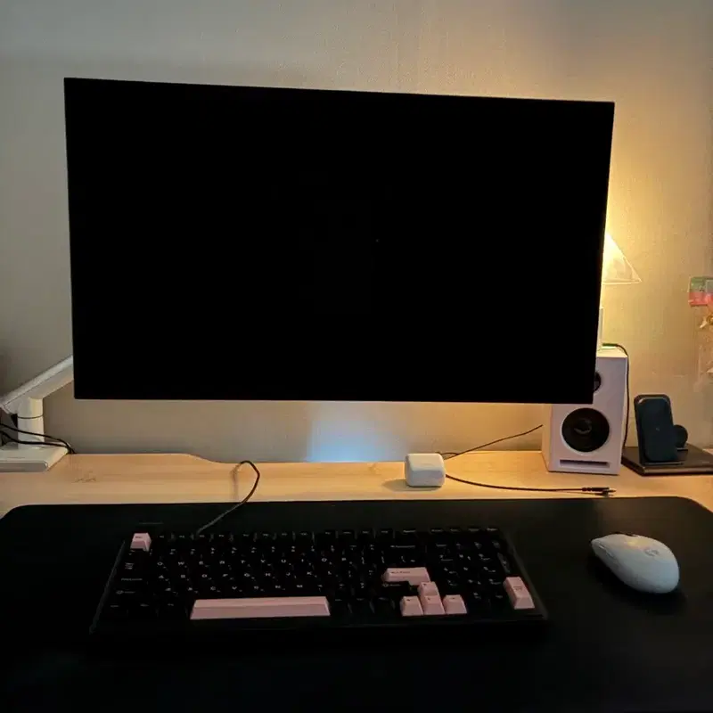 LG 32인치 OLED 모니터
