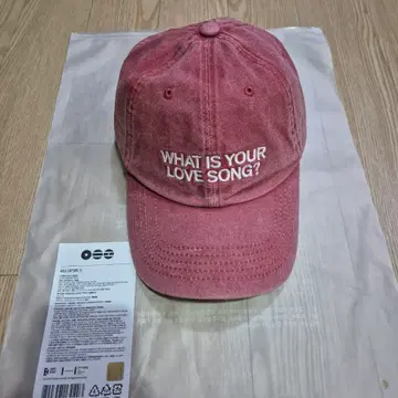 BTS 아리랑 볼캡 레드 Arirang Ballcap red 새상품 | 브랜드 중고거래