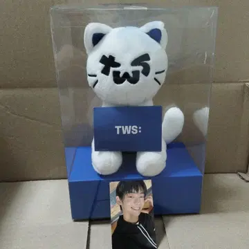 TWS 미니 팬미팅 봉제 인형 한진 사전 녹화 쇼케이스 트레이딩 카드