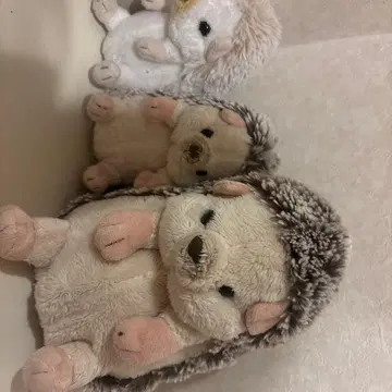 고슴도치 봉제 인형 3세트