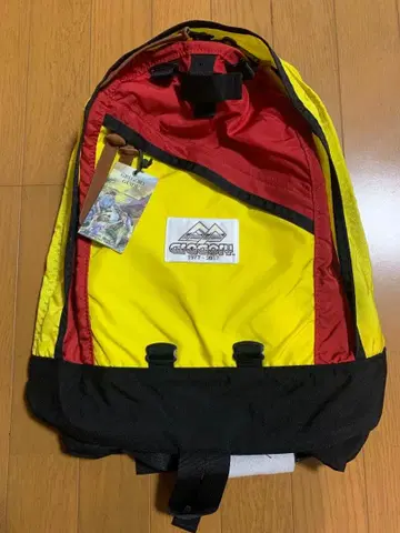 미사용 40주년 기념 모델 GREGOY DAYPACK 그레고리 데이팩
