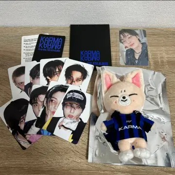 Stray Kids KARMA skzoo 폭시니 아이엔