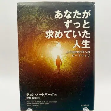 당신이 계속 원했던 삶 진정한 영적 변화로 가는 로드맵 존 오토버그