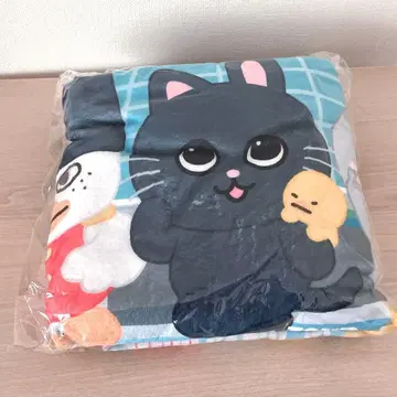 RIIZE 도쿄돔 업그레이드 굿즈 담요